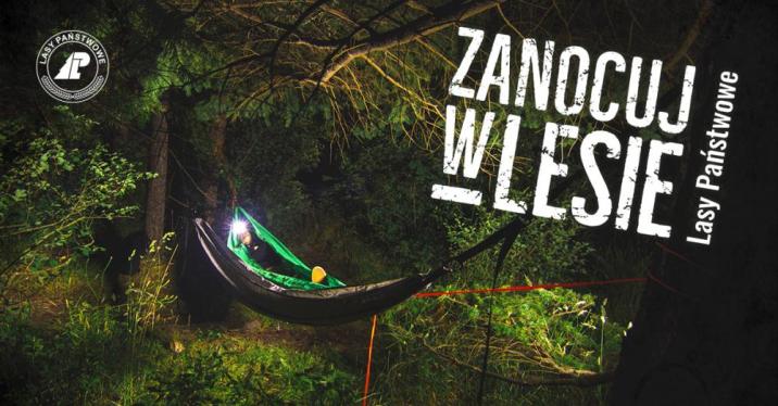 Zanocuj&#x20;w&#x20;lesie